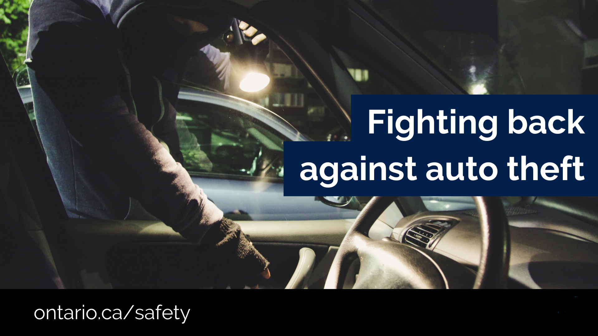 fighting auto theft